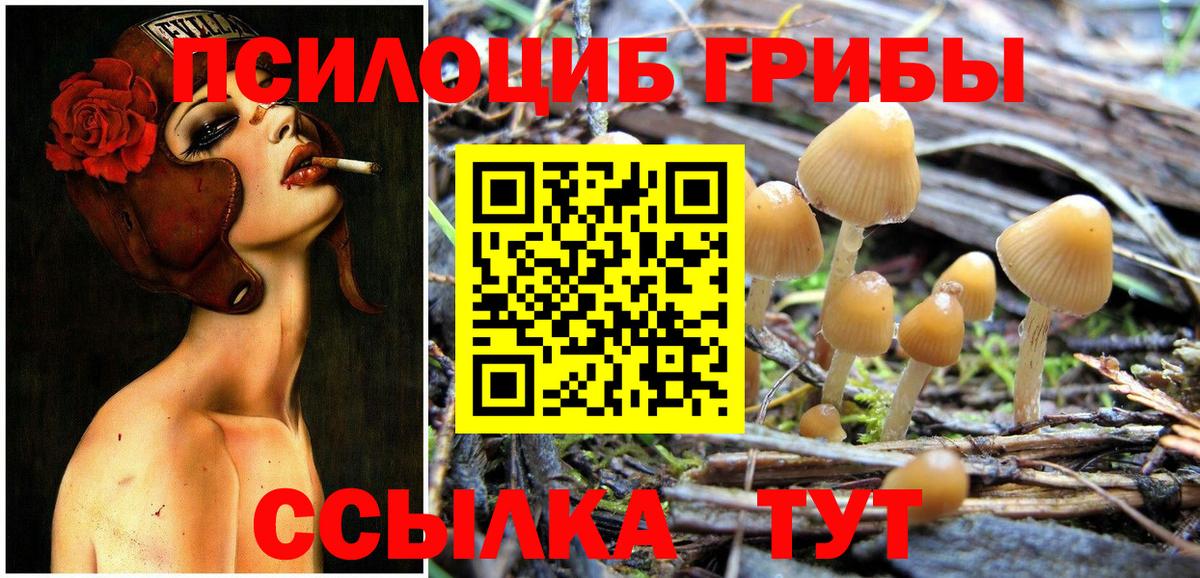 Галлюциногенные грибы Psilocybe  Галлюциногенные грибы Psilocybine cubensis  Вход с VPN  Верхний Уфалей 