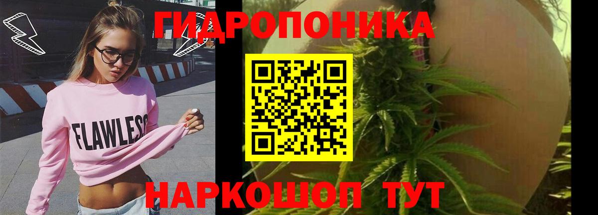 Верхний Уфалей  Бошки Шишки THC 21%  Конопля семена  Каннабис MAZAR  Вход с VPN 